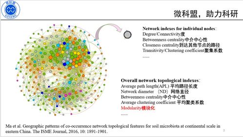 0基礎學會構建微生物生態相關性網絡