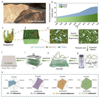 中科大俞書宏院士團隊AM:可食用、超強、熱穩定好的海藻基結構材料,可生物降解餐具新選擇!